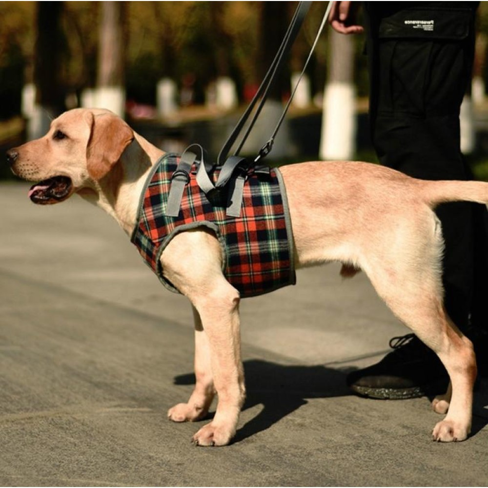 Pet Leg Straps Disabled & Injured Elderly Dog Auxiliary Belt, Size: S, Style:Front Leg(Orange)