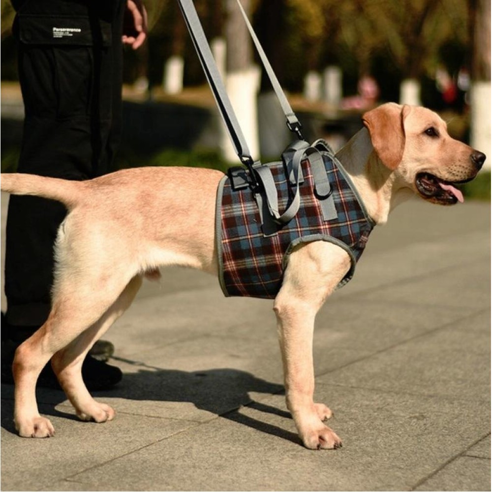 Pet Leg Straps Disabled & Injured Elderly Dog Auxiliary Belt, Size: M, Style:Front Leg(Blue)