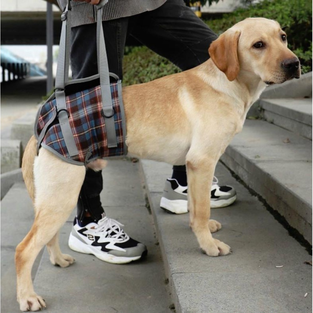 Pet Leg Straps Disabled & Injured Elderly Dog Auxiliary Belt, Size: L, Style:Hind Leg(Blue)