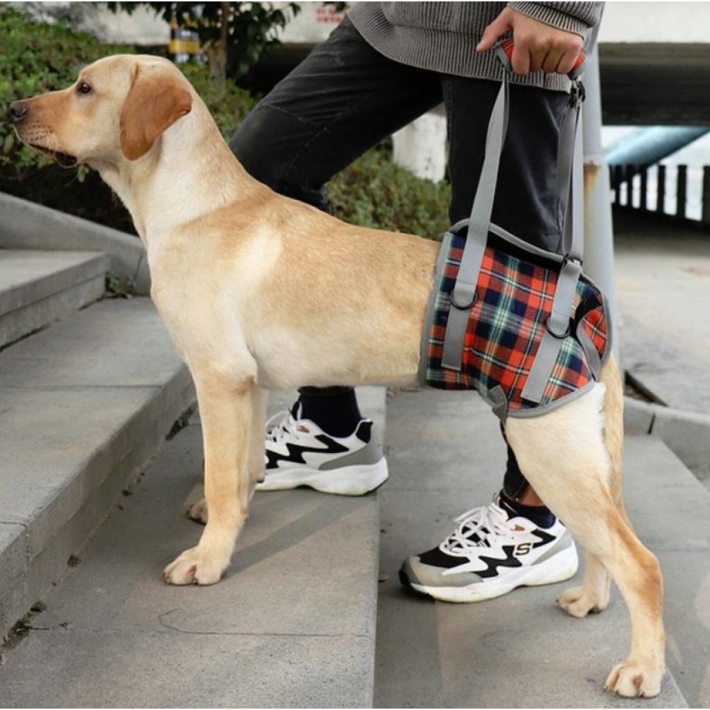 Pet Leg Straps Disabled & Injured Elderly Dog Auxiliary Belt, Size: L, Style:Hind Leg(Orange)