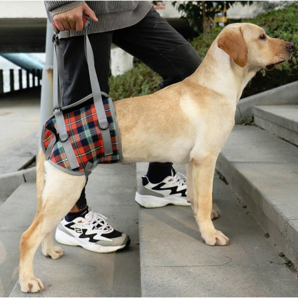 Pet Leg Straps Disabled & Injured Elderly Dog Auxiliary Belt, Size: L, Style:Hind Leg(Orange)
