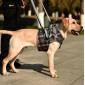 Pet Leg Straps Disabled & Injured Elderly Dog Auxiliary Belt, Size: XL, Style:Front Leg(Blue)