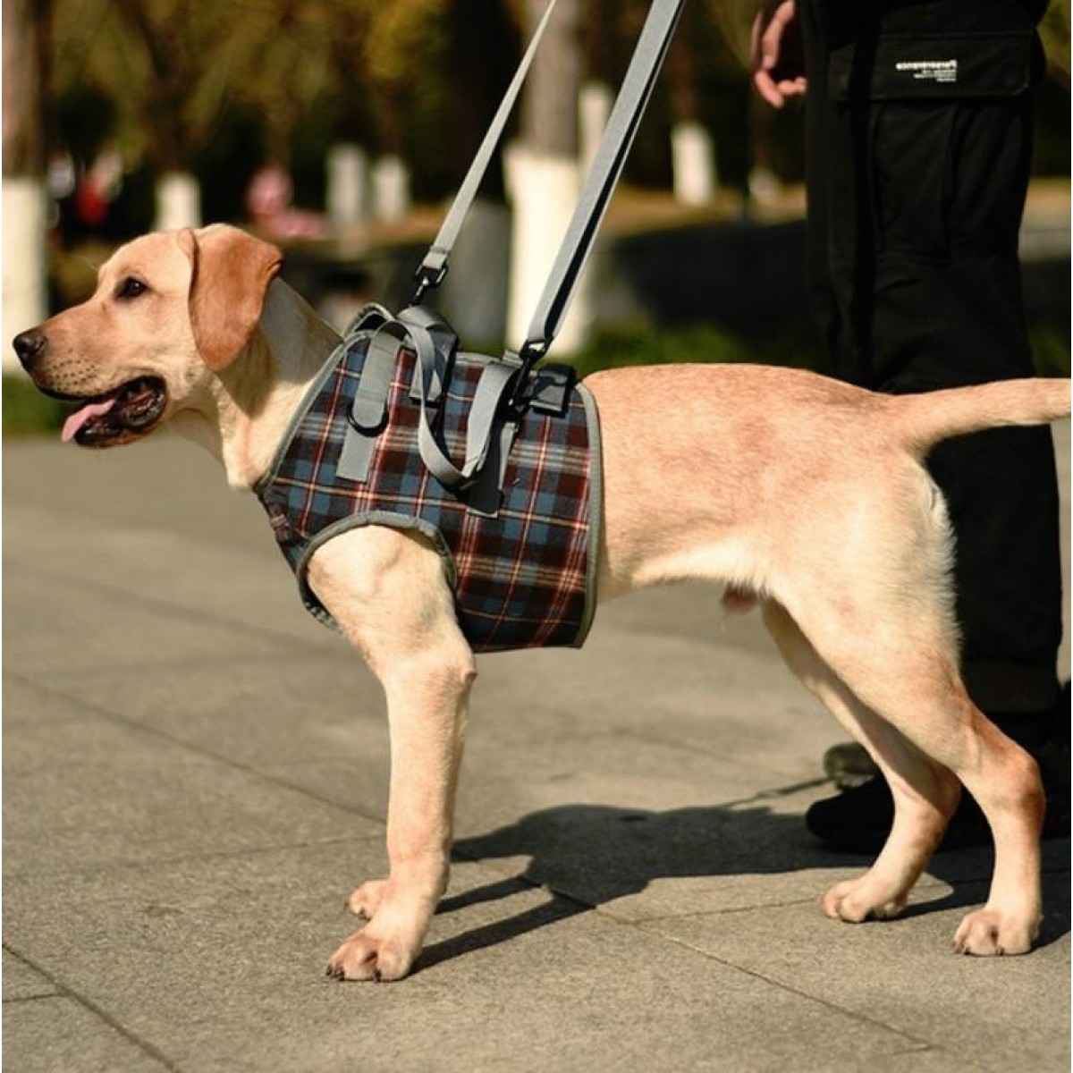 Pet Leg Straps Disabled & Injured Elderly Dog Auxiliary Belt, Size: XL, Style:Front Leg(Blue)