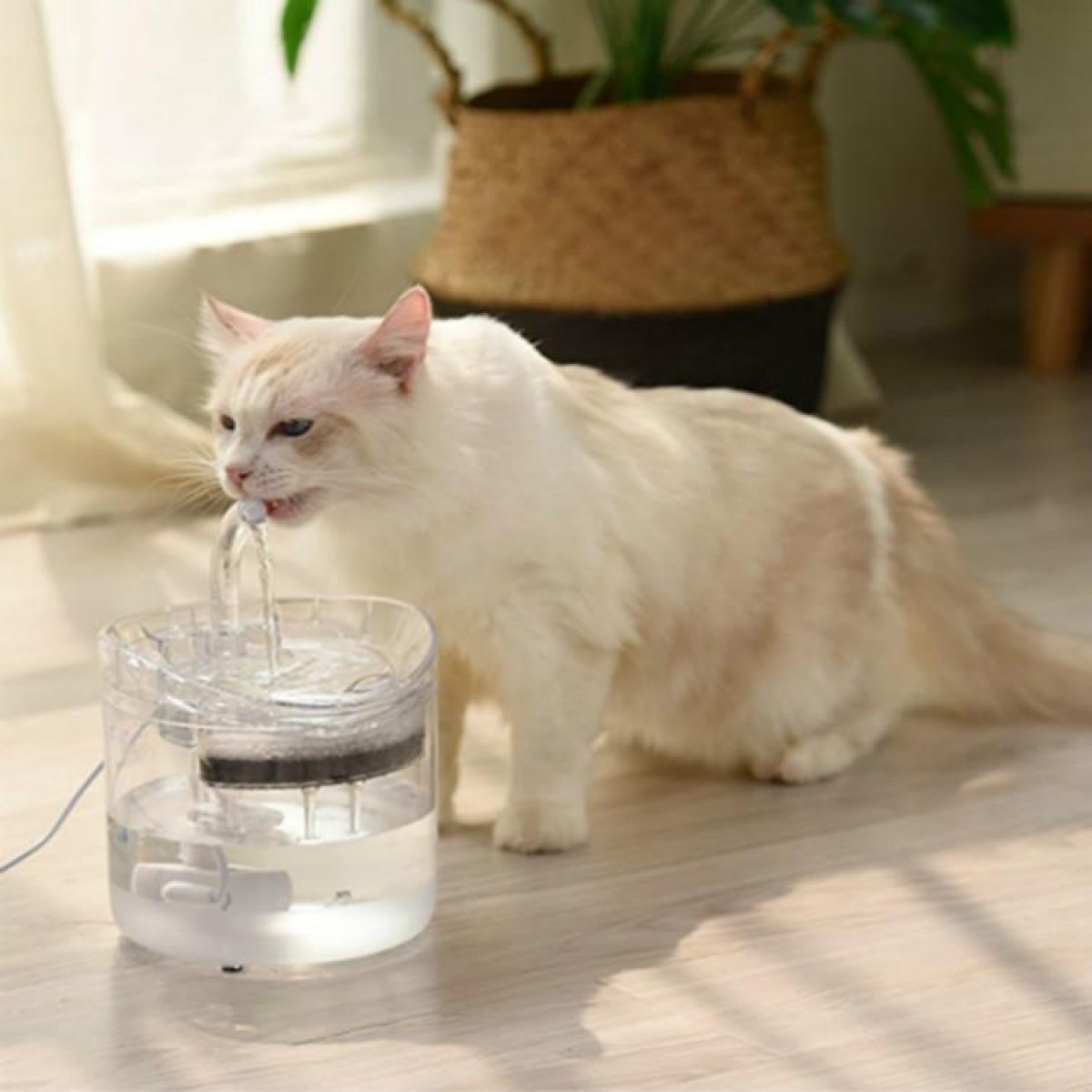 Pet Automatic Circulating Silent And Does Not Leak Electricity Water Dispenser, Specification: US Plug, Style:Transparent Color