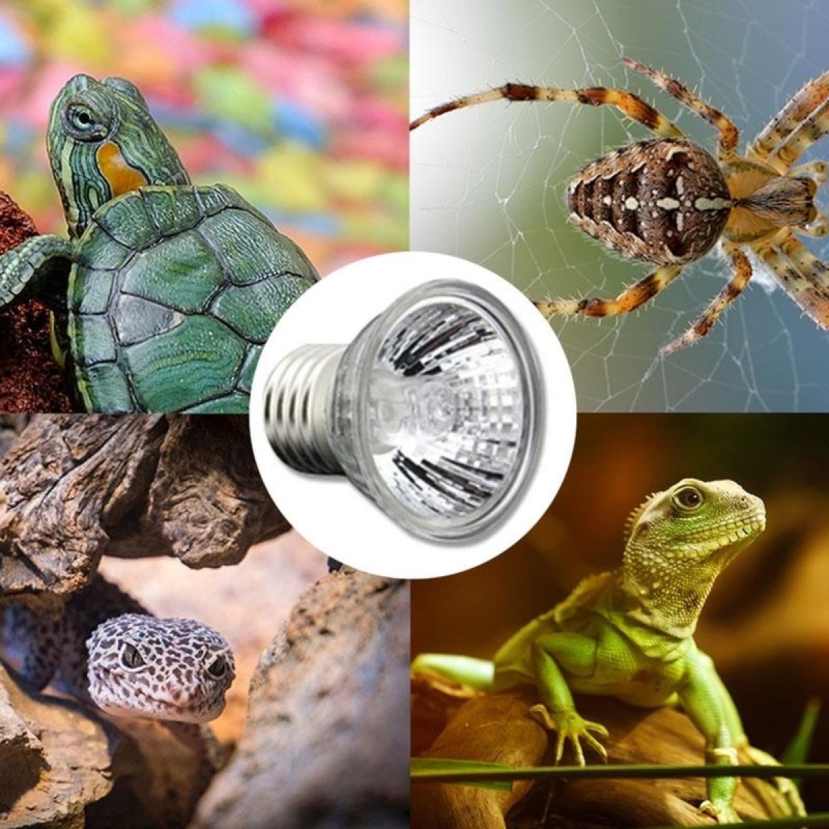 UVA+UVB Full Spectrum Solar Reptile Lamp Lizard Light Turtle Basking Lamp, Specification: 75W