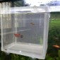 Small Aquarium Incubator Small Fish Isolation Box Net Tropical Fish Breeding Box