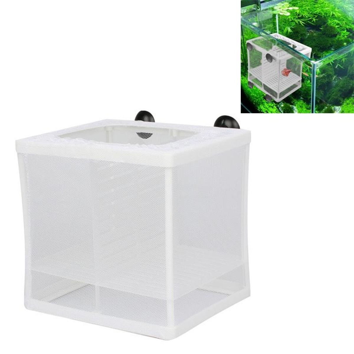 Small Size With Clapboard Incubator Small Fish Isolation Box Net Tropical Fish Breeding Box