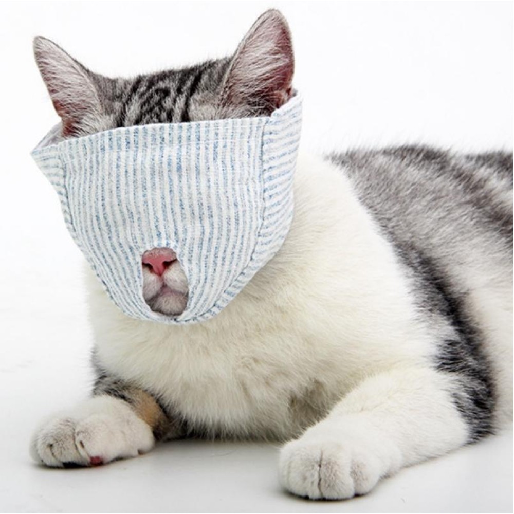 Cat Face Mask Pet Anti-Bite Anti-Licking Reathable Face Mask, Specification: M(Blindfold)