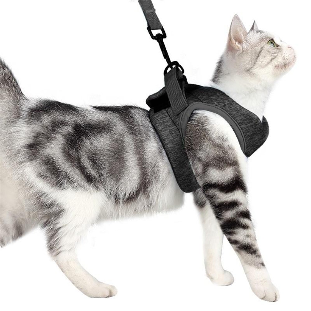 Cat Leash Pet Chest Harness Leash, Size: L(Grey)