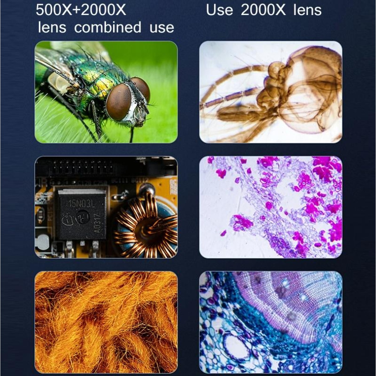 2000X WIFI High Magnification Biological Microscope USB HD Digital Magnifying Glass