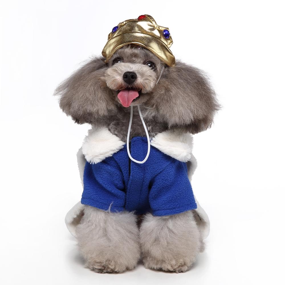 Halloween Christmas Day Pets Dress Up Clothes Pet Funny Clothes, Size: L(SDZ132 King)