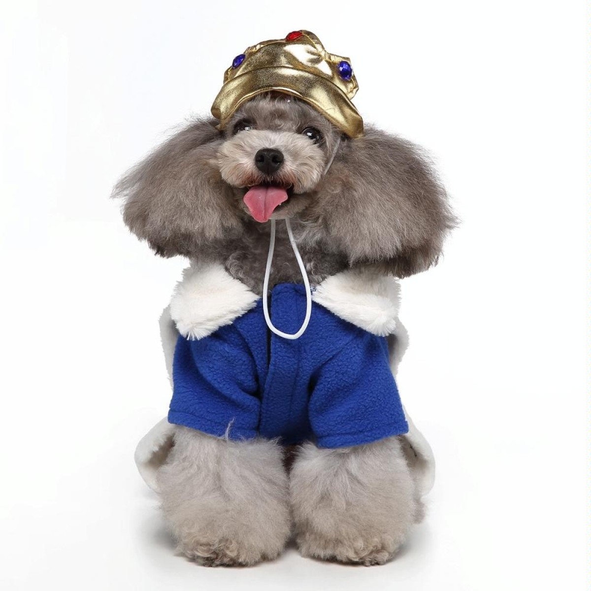 Halloween Christmas Day Pets Dress Up Clothes Pet Funny Clothes, Size: XL(SDZ132 King)