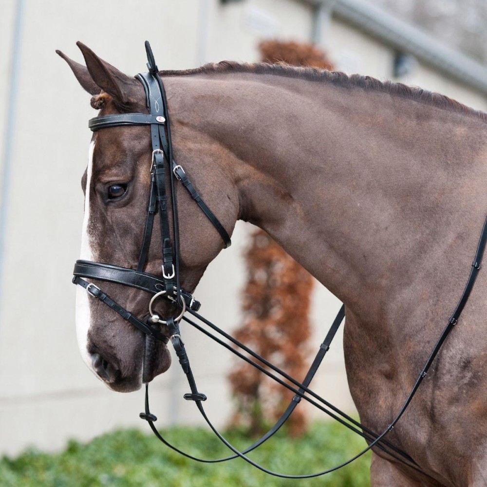 3m Horse Side Reins Elastic Equestrian Training Rope