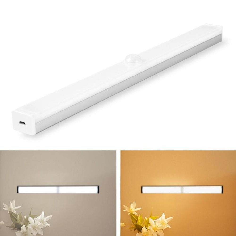 LED Human Body Induction Lamp Long Strip Charging Cabinet Lamp Strip, Size: 21cm(Silver and Warm Light)