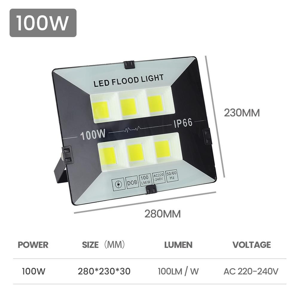 100W 6500K Cool White LED Waterproof Flood Light