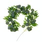 Artificial Greenery Eucalyptus Leaf Vine Simulation Rattan Home Decoration, Style: 1m Eucalyptus+5 Leaves Willow Green
