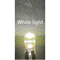 Λαμπτήρες LED - T10 - R-DT10Q-01AUT10 - 2pcs - 110860 - White