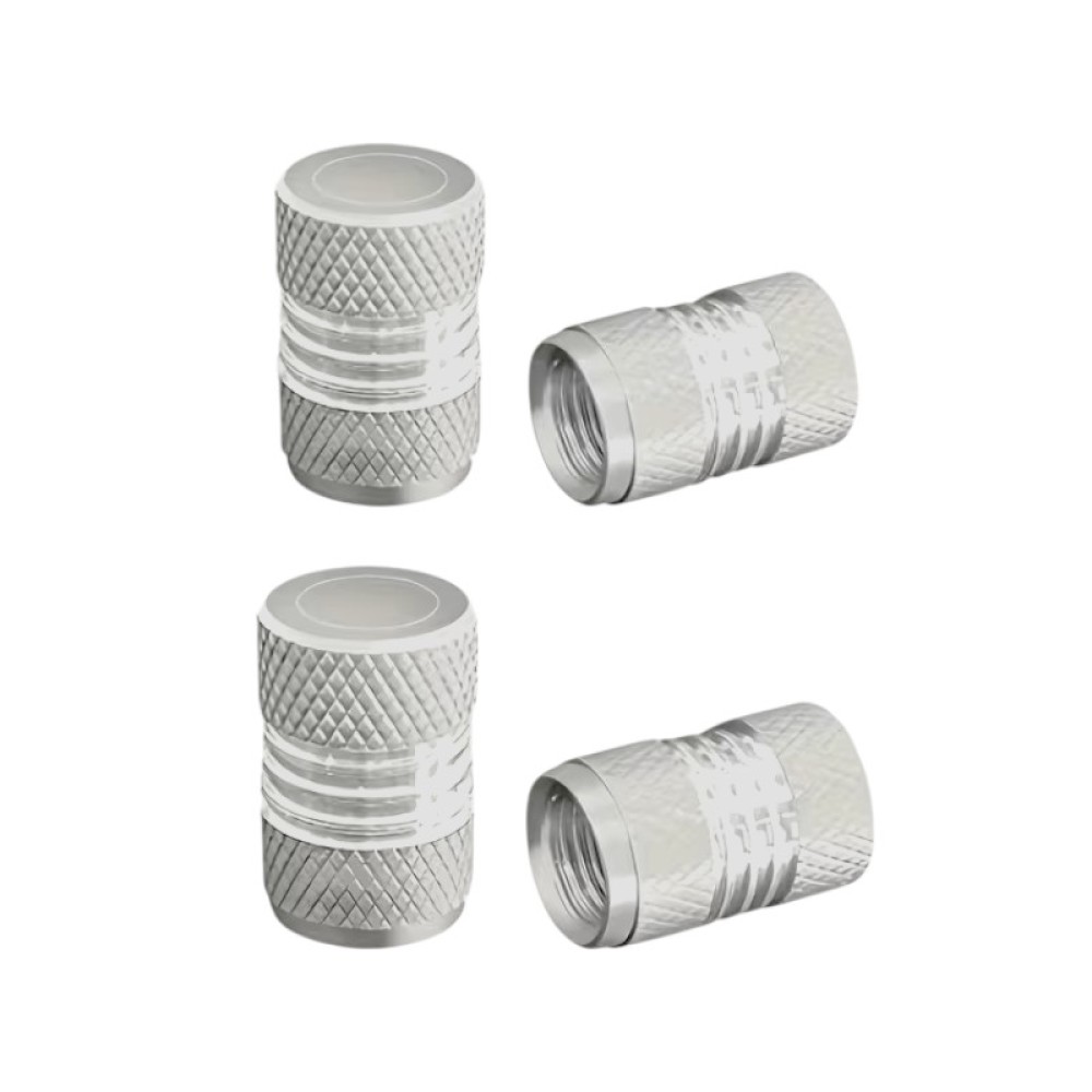 Καπάκι βαλβίδας ελαστικών αυτοκινήτου - R-Z17109-4U - 140526 - Silver