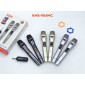 Σετ 2 ασύρματα μικρόφωνα - KMS-904MC - 509045 - Gold