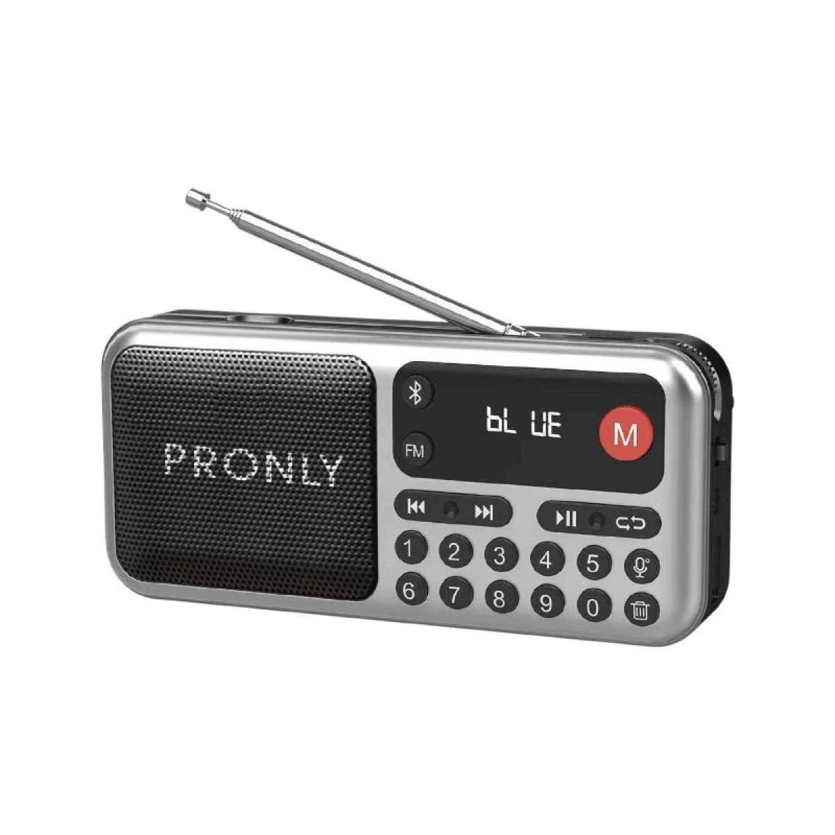 Επαναφορτιζόμενο ραδιόφωνο με Bluetooth - PR-810BT - 708101