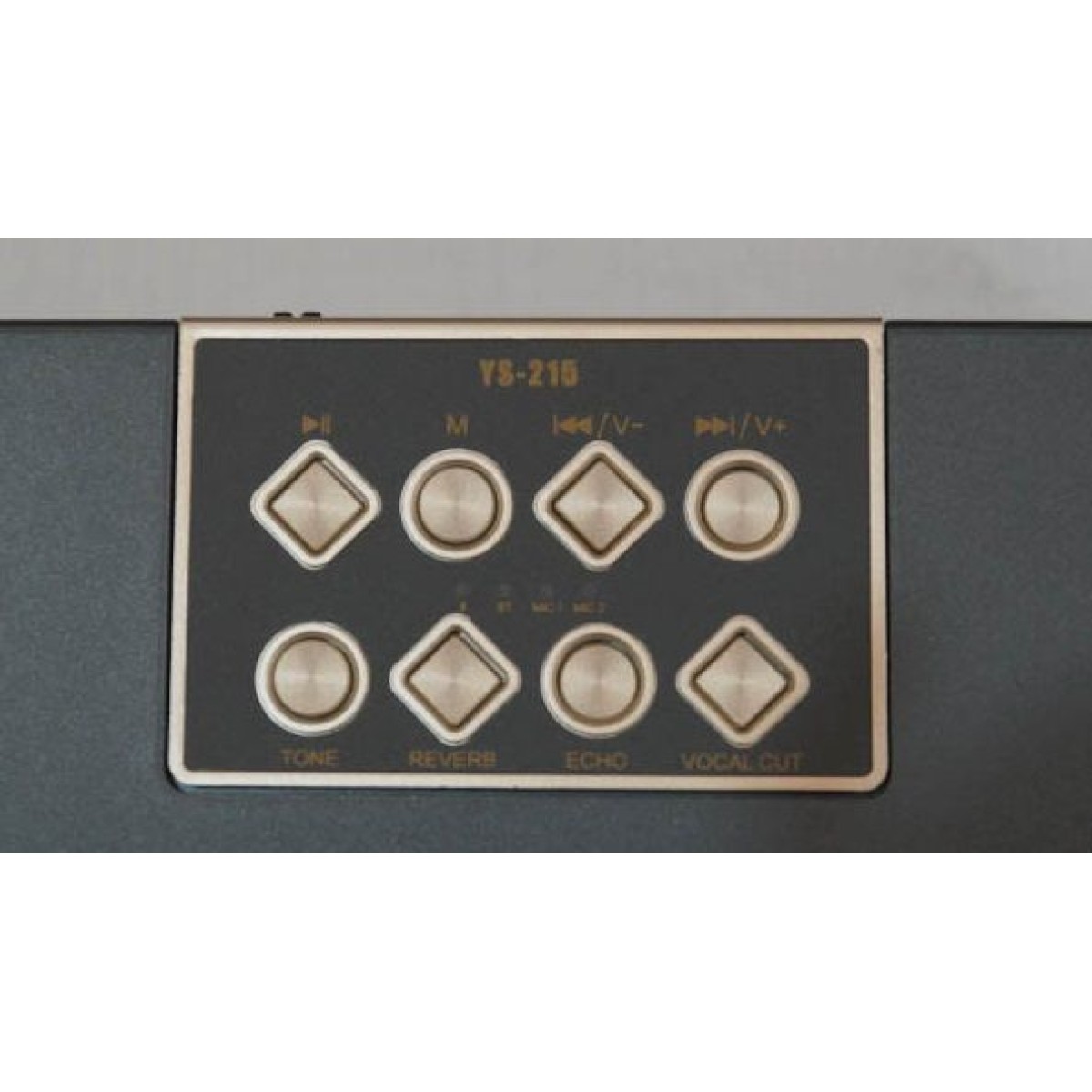 Ασύρματο ηχείο Bluetooth με 2 μικρόφωνα Karaoke - YS215 - 887271 - Grey