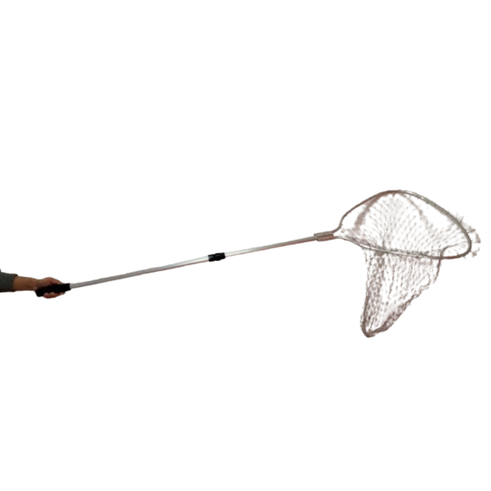 Απόχη ψαρέματος δίσπαστη - 931038