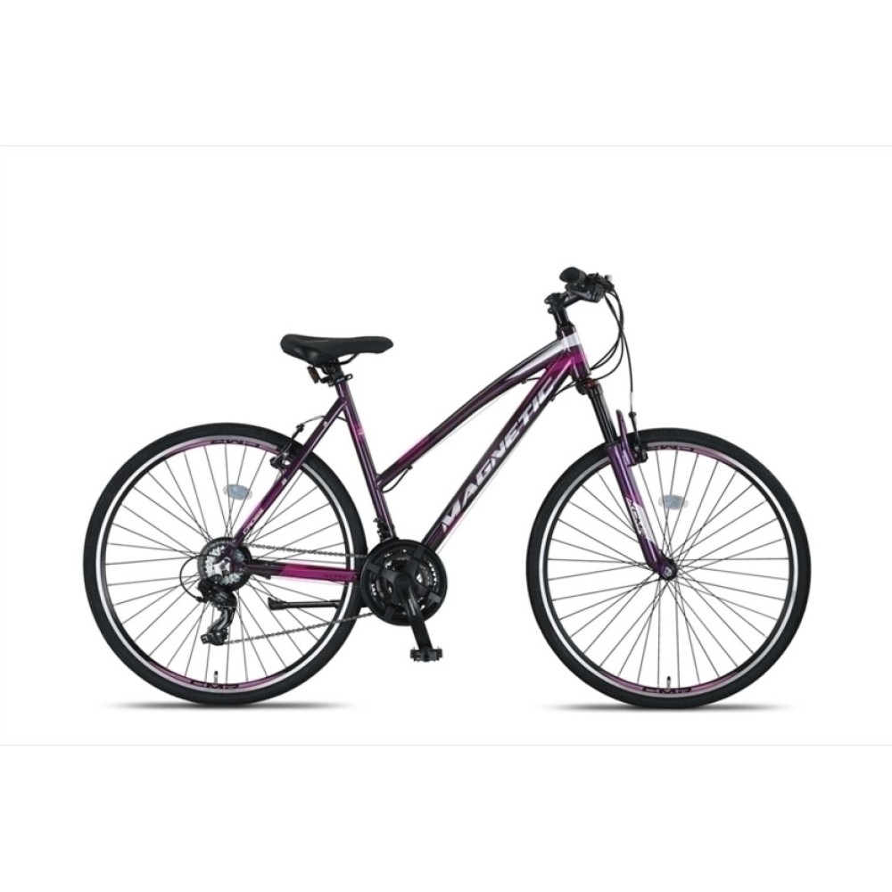 Magnetic 28 Inch 52 cm Women 21SP Rim Brakes Anthracite