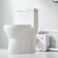 VEVOR Macerator Pump, 1200W, 180 L/min (48 GPM) Ροή, 33 ft/10 m Head, Macerator Sewerage Pump Toilet with 4 Waters Instructions, Upflush Machine Way Discovery Water for Toilet, Υπόγειο, Ντους, Νιπτήρας, Πλυντήριο ρούχων, Μπανιέρα