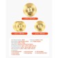 VEVOR Cymbal Pack 3 Pieces Cymbals Drum Set 355/400/505 mm (14 16 20 Inches) Cymbal για τύμπανο