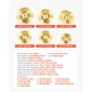 VEVOR Cymbal Pack 6 Pieces Cymbal Set 254/355/400/455/505 mm (10 14 16 18 20 Inches) Cymbal for Drum