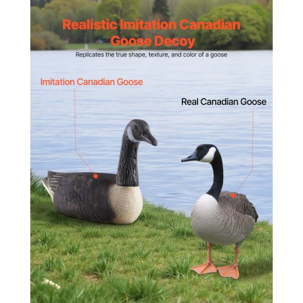 VEVOR Canada Goose Decoys, Outdoors Goose Decoy για κυνήγι υδρόβιων πτηνών, ανθεκτικά πλαστικά πλωτήρες με εξαιρετικά ρεαλιστική βαφή, για διακόσμηση πισίνας, λίμνης, λίμνης, αυλής κήπου, εύκολη μεταφορά και χρήση, 6-συσκευασία