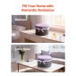VEVOR Forever Flowers, 50 διατηρημένα τριαντάφυλλα σε ένα κουτί, Αιώνια λουλούδια Αθάνατη ανθοδέσμη Δώρο γενεθλίων για γυναίκες Μητέρες της γυναίκας της, επέτειος, ημέρα του Αγίου Βαλεντίνου, Χριστούγεννα, Μωβ λεβάντα