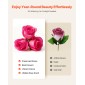 VEVOR Forever Flowers, 27 Conserved Roses in a Box, Eternal Flowers Immortal Bouquet Δώρο γενεθλίων για παράδοση Prime Women Her Wife Mothers, Επέτειος, Ημέρα του Αγίου Βαλεντίνου, Χριστούγεννα, Κόκκινο τριαντάφυλλο