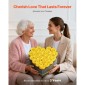VEVOR Forever Flowers, 27 διατηρημένα τριαντάφυλλα σε κουτί σε σχήμα καρδιάς, Αιώνια λουλούδια Αθάνατη ανθοδέσμη Δώρο γενεθλίων για γυναίκες Μητέρες της γυναίκας της, επέτειος, ημέρα του Αγίου Βαλεντίνου, Χριστούγεννα, Κίτρινο