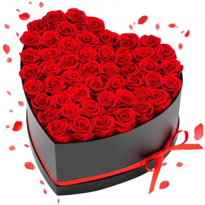 VEVOR Forever Flowers, 50 διατηρημένα τριαντάφυλλα σε κουτί σε σχήμα καρδιάς, Αιώνια λουλούδια Αθάνατο μπουκέτο δώρο γενεθλίων για παράδοση Prime Women Her Wife Mothers, Επέτειος, Ημέρα του Αγίου Βαλεντίνου, Χριστούγεννα, Κόκκινο