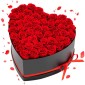 VEVOR Forever Flowers, 50 διατηρημένα τριαντάφυλλα σε κουτί σε σχήμα καρδιάς, Αιώνια λουλούδια Αθάνατο μπουκέτο δώρο γενεθλίων για παράδοση Prime Women Her Wife Mothers, Επέτειος, Ημέρα του Αγίου Βαλεντίνου, Χριστούγεννα, Κόκκινο