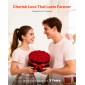 VEVOR Forever Flowers, 27 Conserved Roses in a Box, Eternal Flowers Immortal Bouquet Δώρο γενεθλίων για παράδοση Prime Women Her Wife Mothers, Επέτειος, Ημέρα του Αγίου Βαλεντίνου, Χριστούγεννα, Κόκκινο
