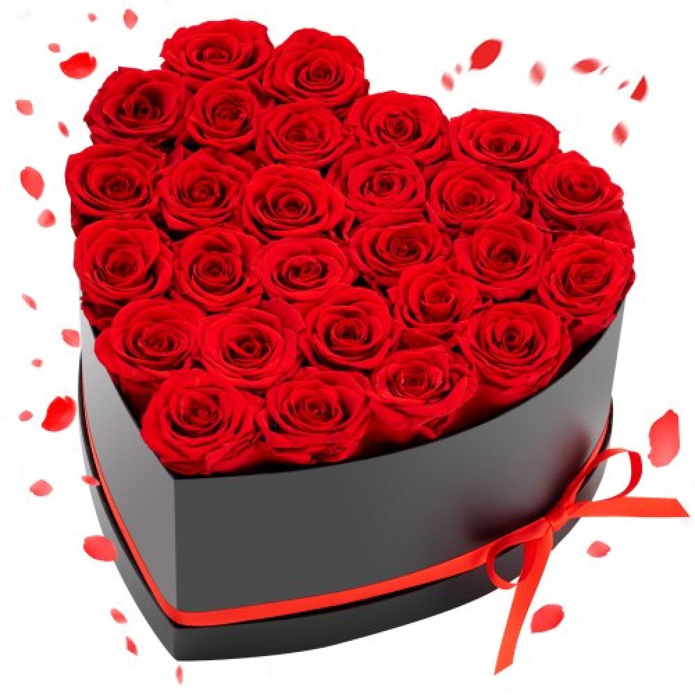 VEVOR Forever Flowers, 27 διατηρημένα τριαντάφυλλα σε κουτί σε σχήμα καρδιάς, Αιώνια λουλούδια Αθάνατο μπουκέτο Δώρο γενεθλίων για παράδοση Prime Women Her Wife Mothers, Επέτειος, Ημέρα του Αγίου Βαλεντίνου, Χριστούγεννα, Κόκκινο