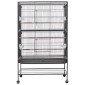 VEVOR Bird Cage, 800 x 520 x 1320 mm, Επίπεδη κορυφή, Κλουβί πτήσης από σφυρήλατο σίδερο με κούρνιες, συρόμενος δίσκος και πλαστικοί τροφοδότες, τροχίσκοι, για παπαγάλους, μπλε βυζιά, κοκατίλ, καναρινιές και παπαγαλάκια μοναχών
