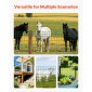 VEVOR Farm Fence, 1 x 25 m, 2 x 4 in Mesh Περίφραξη από γαλβανισμένο ατσάλινο σύρμα 2,1 mm για βοοειδή, γουρούνια και πρόβατα, βαρέως τύπου περίφραξη ζωικού κεφαλαίου με επίστρωση βινυλίου για περιβλήματα ζώων, σύρμα κλουβιού, φράχτες κήπου, πράσινο