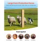 VEVOR Farm Fence, 1,2 x 25 m, 2 x 4 in Mesh Περίφραξη από γαλβανισμένο ατσάλινο σύρμα 2,1 mm για βοοειδή, γουρούνια και πρόβατα, περίφραξη ζωικού κεφαλαίου με επίστρωση βινυλίου βαρέως τύπου για περιβλήματα ζώων, σύρμα κλουβιού, φράχτες κήπου, πράσινο