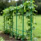 VEVOR Garden Stakes, 15 Pack, 1705 mm, Μεταλλικοί πάσσαλοι ντομάτας με πλαστική επικάλυψη, Garden Sticks για υποστήριξη φυτών, με μυτερό άκρο και αντιολισθητικά εξογκώματα για καλλιέργεια αναρριχώμενων φυτών, λαχανικά εξωτερικού χώρου
