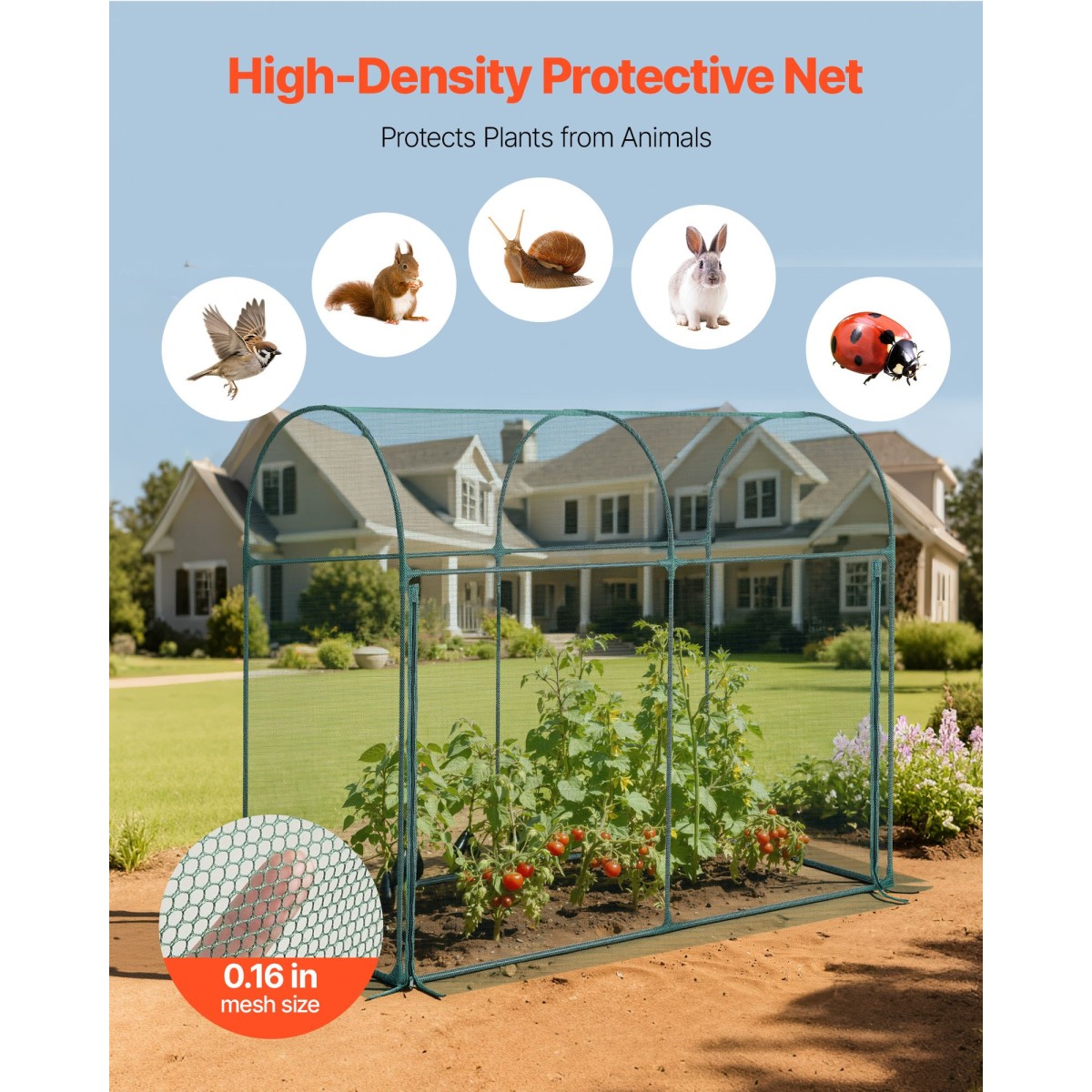 VEVOR Crop Cage, 1,8 x 0,91 x 1,5 m Σκηνή φυτοπροστασίας με πόρτα με φερμουάρ, ανθεκτικό στον άνεμο ψηλό κλωβό καλλιέργειας, εύκολο στην εγκατάσταση, υπερυψωμένο υπαίθριο κάλυμμα κρεβατιού με πλαίσιο, φυτικό δίχτυ για γκαζόν βεράντας κήπου