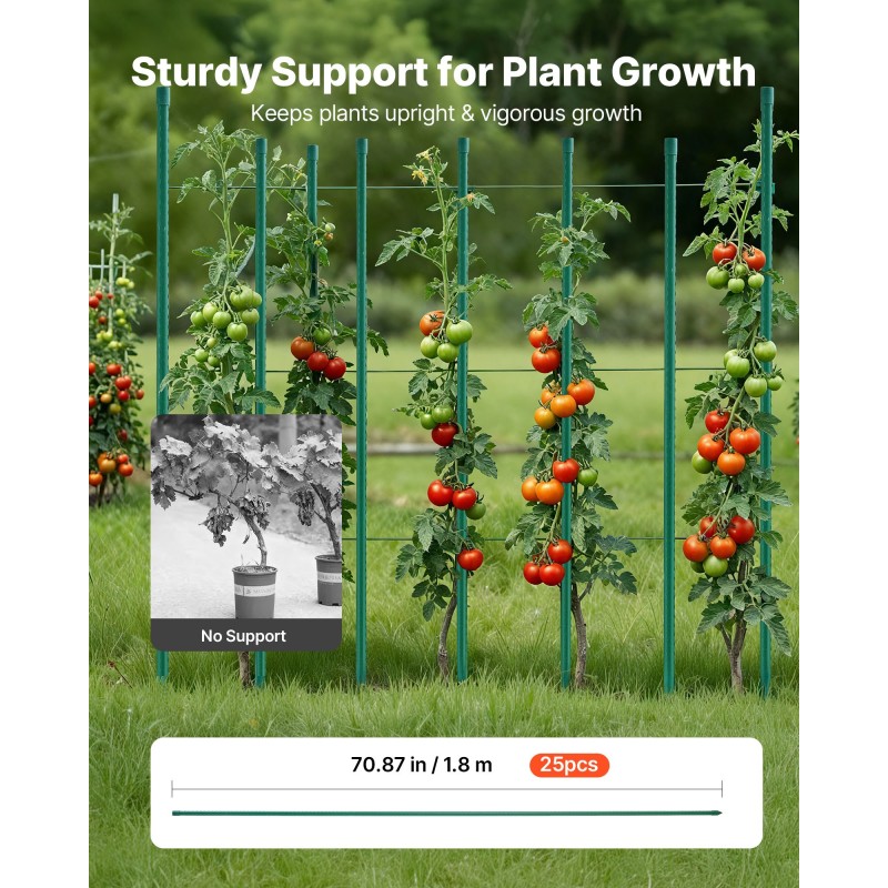 VEVOR Garden Stakes, 25 Pack, 1800 mm, Μεταλλικοί πάσσαλοι ντομάτας με πλαστική επικάλυψη, Garden Sticks για υποστήριξη φυτών, με μυτερό άκρο και αντιολισθητικά εξογκώματα για καλλιέργεια αναρριχώμενων φυτών, λαχανικά εξωτερικού χώρου