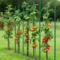 VEVOR Garden Stakes, 25 Pack, 1800 mm, Μεταλλικοί πάσσαλοι ντομάτας με πλαστική επικάλυψη, Garden Sticks για υποστήριξη φυτών, με μυτερό άκρο και αντιολισθητικά εξογκώματα για καλλιέργεια αναρριχώμενων φυτών, λαχανικά εξωτερικού χώρου