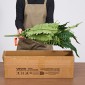 VEVOR Τεχνητές φτέρες, 1219 mm Fake Boston Fern Bush Plant with 67 Fronds, Faux Greenery για εσωτερική/εξωτερική διακόσμηση, μετάξι & LDPE, Κατάλληλο για φυτευτή σαλονιού γραφείου στον κήπο της βεράντας στο σπίτι, σετ 2