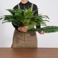 VEVOR Τεχνητές φτέρες, 1219 mm Fake Boston Fern Bush Plant with 67 Fronds, Faux Greenery για εσωτερική/εξωτερική διακόσμηση, μετάξι & LDPE, Κατάλληλο για φυτευτή σαλονιού γραφείου στον κήπο της βεράντας στο σπίτι, σετ 2