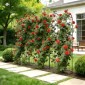 VEVOR Garden Trellis, 220 x 52,5 cm Rose Trellis, 4 Packs Garden Flower Rose Trellies with Powder-coated Finish & Convenient Locking Design, Plant Support Trellises for Flowers, Vegetables, Roses