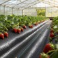 VEVOR Weed Barrier Fabric Heavy Duty, 2 Packs 0,9x15,2m 90,7g Weed Blocker Fabric, Woven Landscape Fabric, Garden Fabrics Weeds Barrier, Weeds Control Ground Cover, Geotextile Webbing, Black