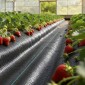 VEVOR Weed Barrier Fabric Heavy Duty, 0,4 x 15,2m 90,7g Landscape Fabric, Woven Weed Blocker Fabrics, Garden Fabrics Weeds Barrier, Weeds Control Ground Cover, Geotextile Webbing, Gardening Mat, Black